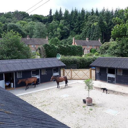 Vila Crockers Farm Dorking Exteriér fotografie