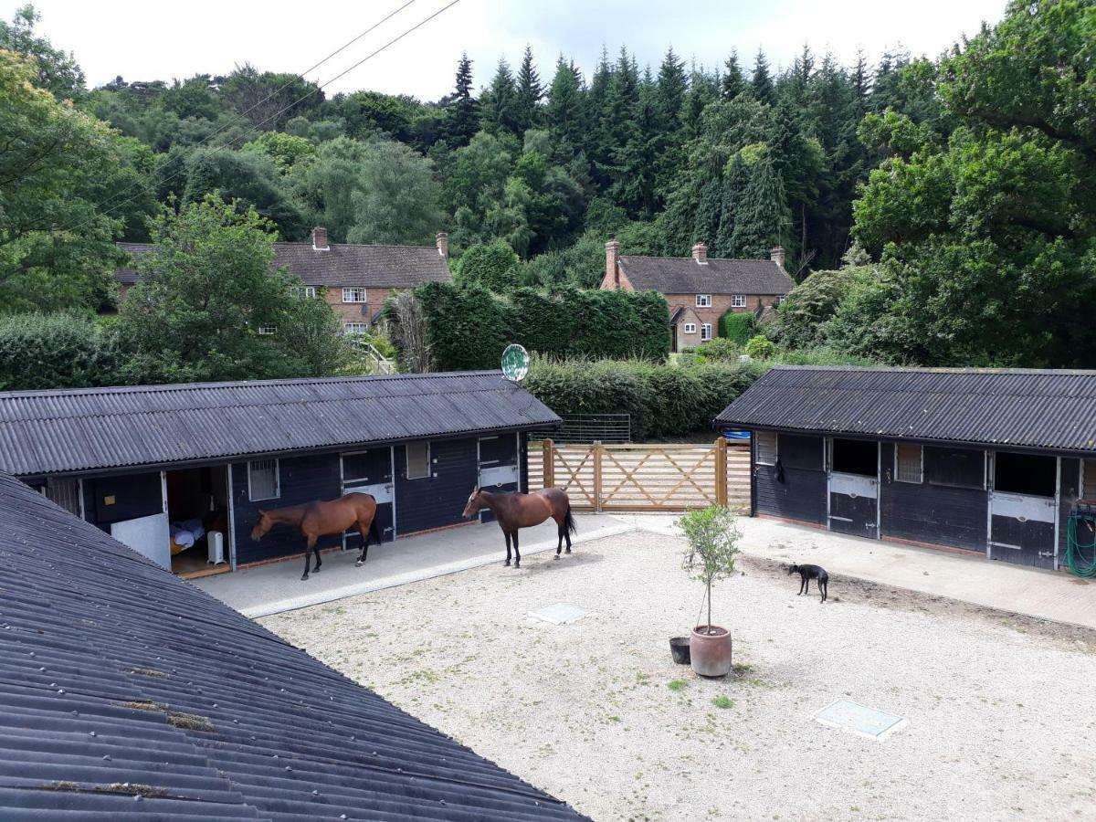 Vila Crockers Farm Dorking Exteriér fotografie